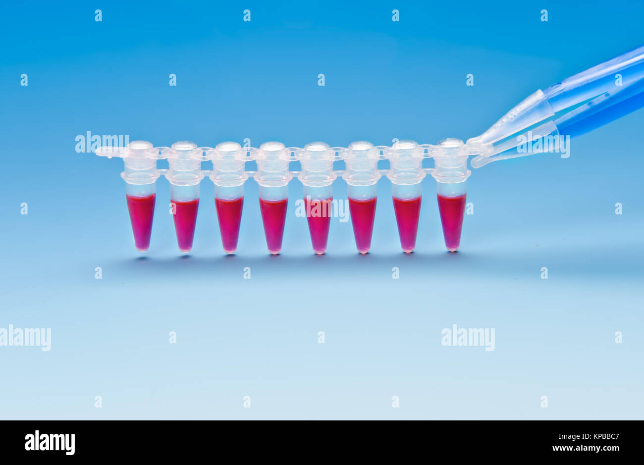 Primo piano su tubi in plastica per l'amplificazione del DNA Foto Stock