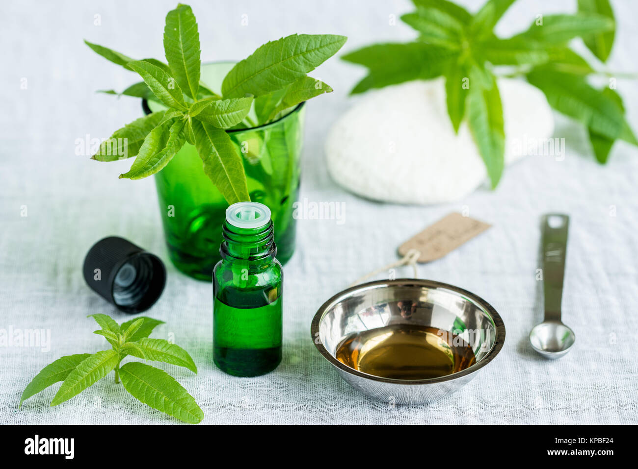 Bottiglia di verbena del limone olio essenziale (Aloysia triphylla). Foto Stock