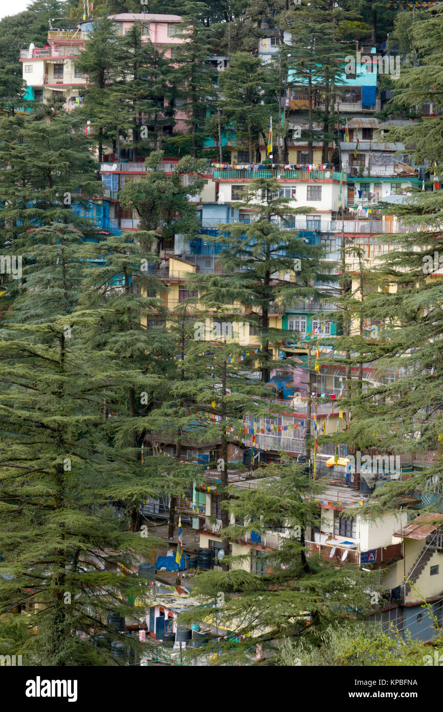 Appartamenti e alberghi impostato sul ripido versante della montagna in Mcleod Ganj, India Foto Stock