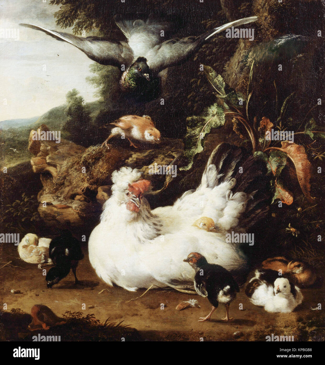 Melchior Hondecoeter - una gallina e i suoi pulcini Foto Stock
