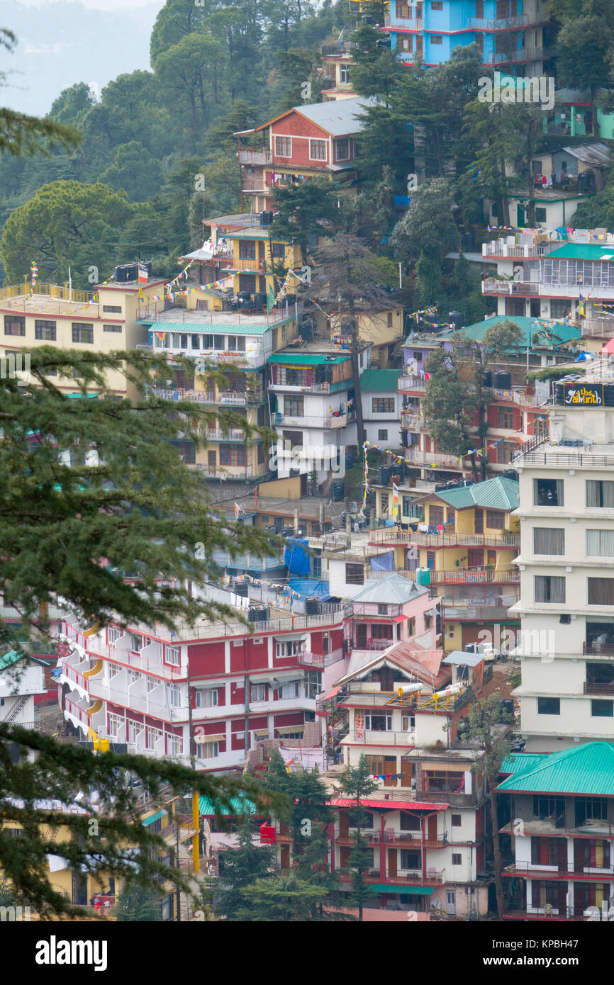 Appartamenti e alberghi impostato sul ripido versante della montagna in Mcleod Ganj, India Foto Stock