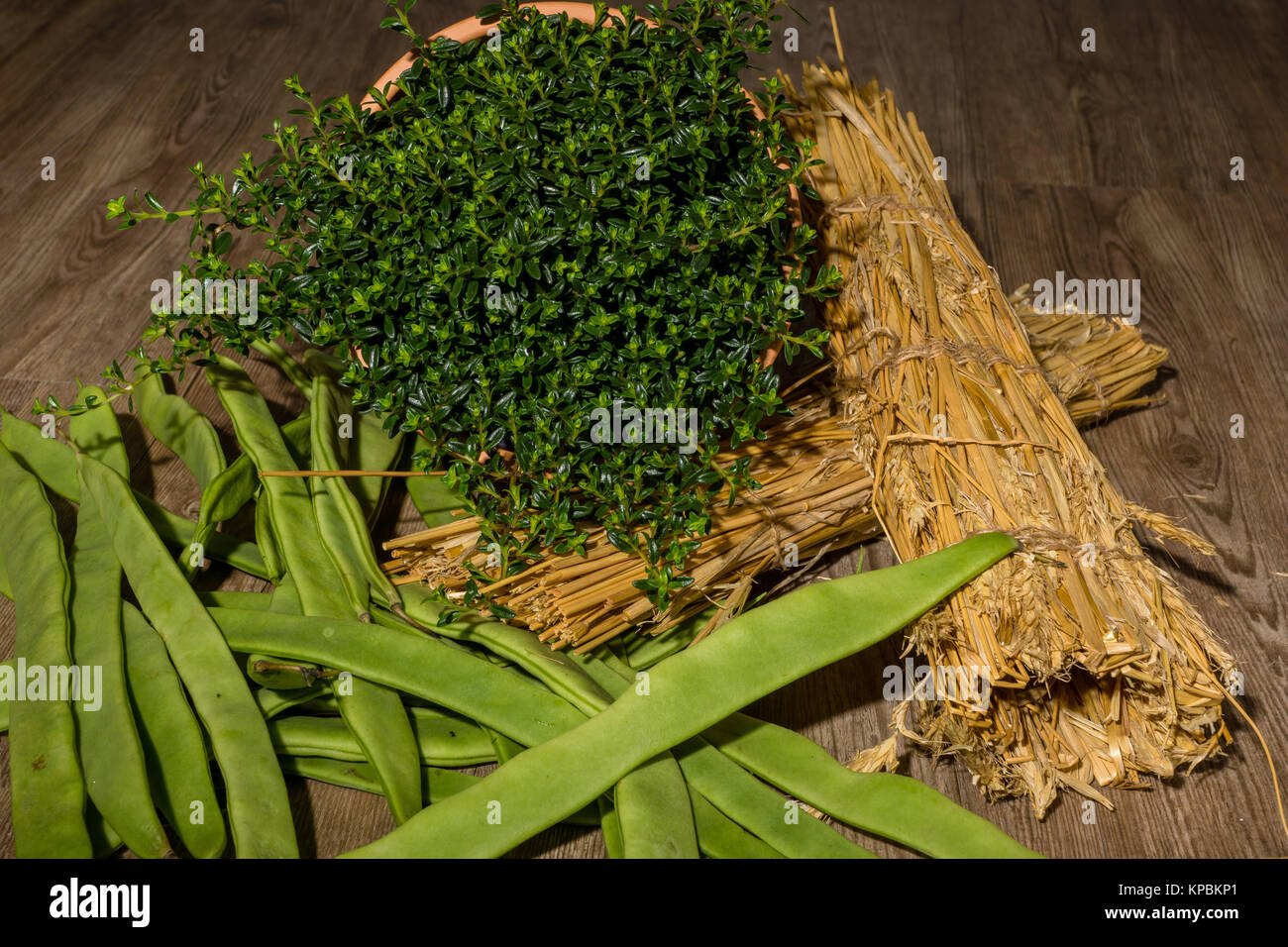 Grüne Bohnen mit einer Bohnenkrautpflanze im Topf Foto Stock