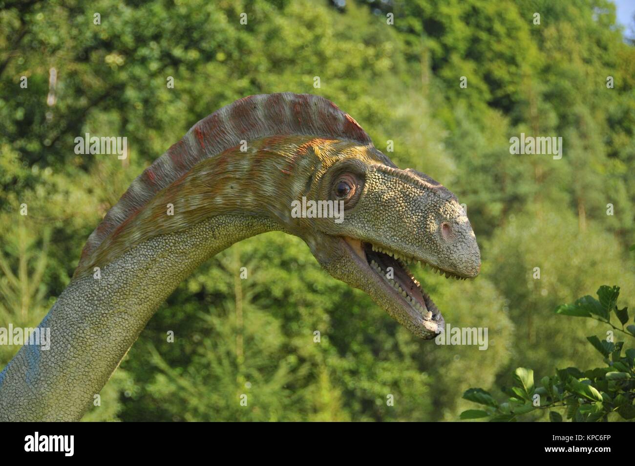 Jurassic Park di Baltow, Swietokrzyskie voivodato, Polonia. Foto Stock