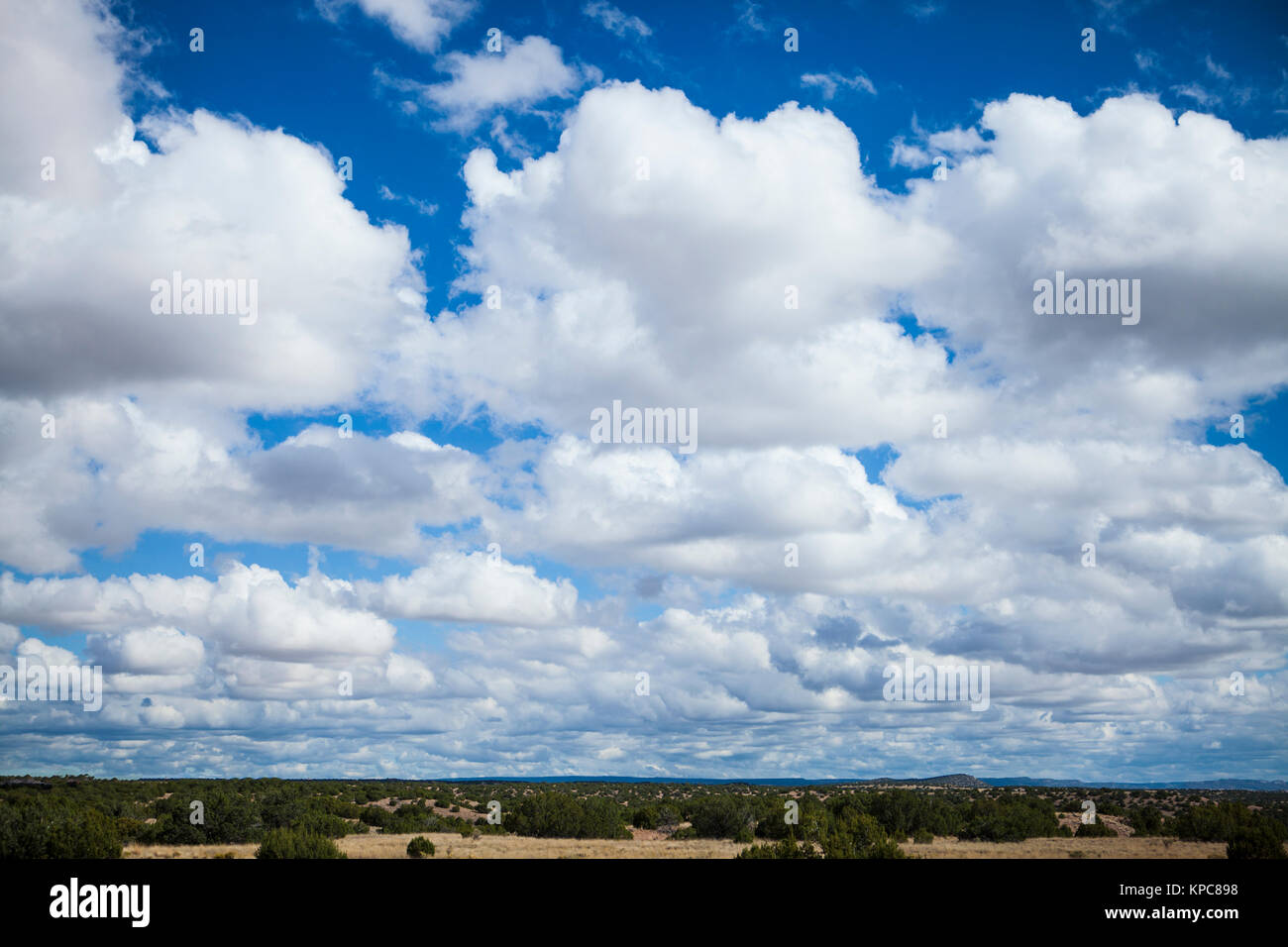 Il Cumulus bianche nuvole su un cielo blu, Nuovo Messico Foto Stock