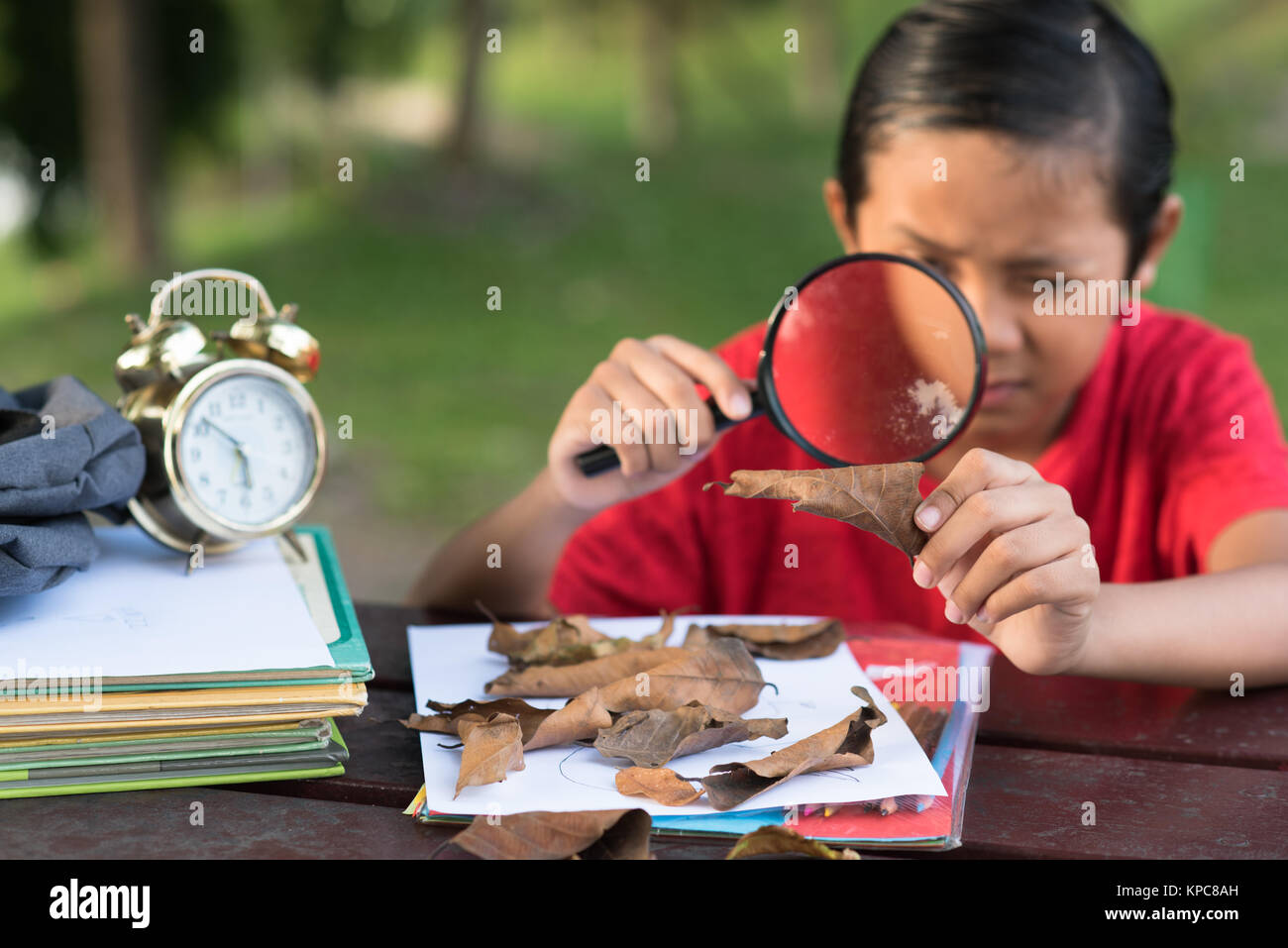 Giovane ragazzo asiatico studiando una foglia con lente di ingrandimento. il concetto di apprendimento Foto Stock