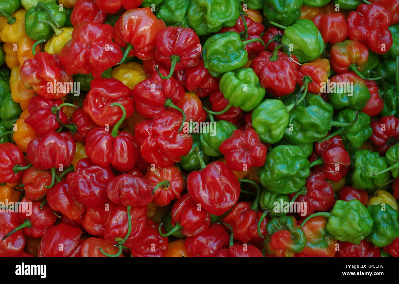 La paprika offerti in un mercato locale nella regione dei Caraibi Foto Stock