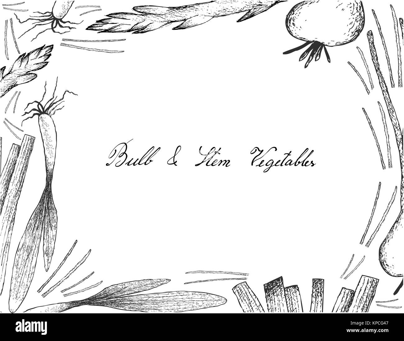 Vegetali e le erbe, illustrazione Telaio del lato Bozzetto freschi e deliziosi lampadina e ortaggi a stelo isolato su sfondo bianco. Illustrazione Vettoriale
