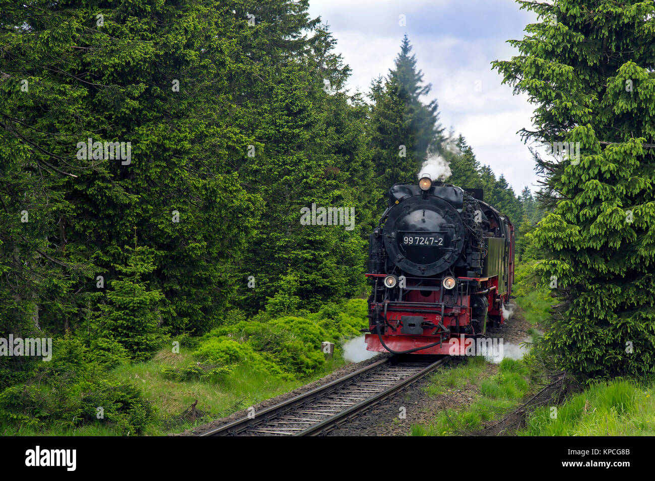 Treno a vapore Equitazione il Brocken ferrovia a scartamento ridotto linea presso il Parco Nazionale di Harz, Sassonia-Anhalt, Germania Foto Stock