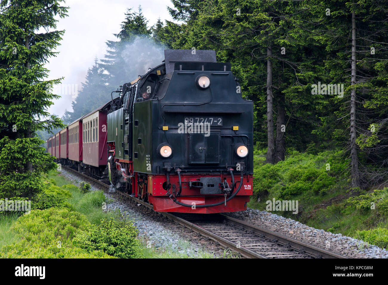 Treno a vapore Equitazione il Brocken ferrovia a scartamento ridotto linea presso il Parco Nazionale di Harz, Sassonia-Anhalt, Germania Foto Stock