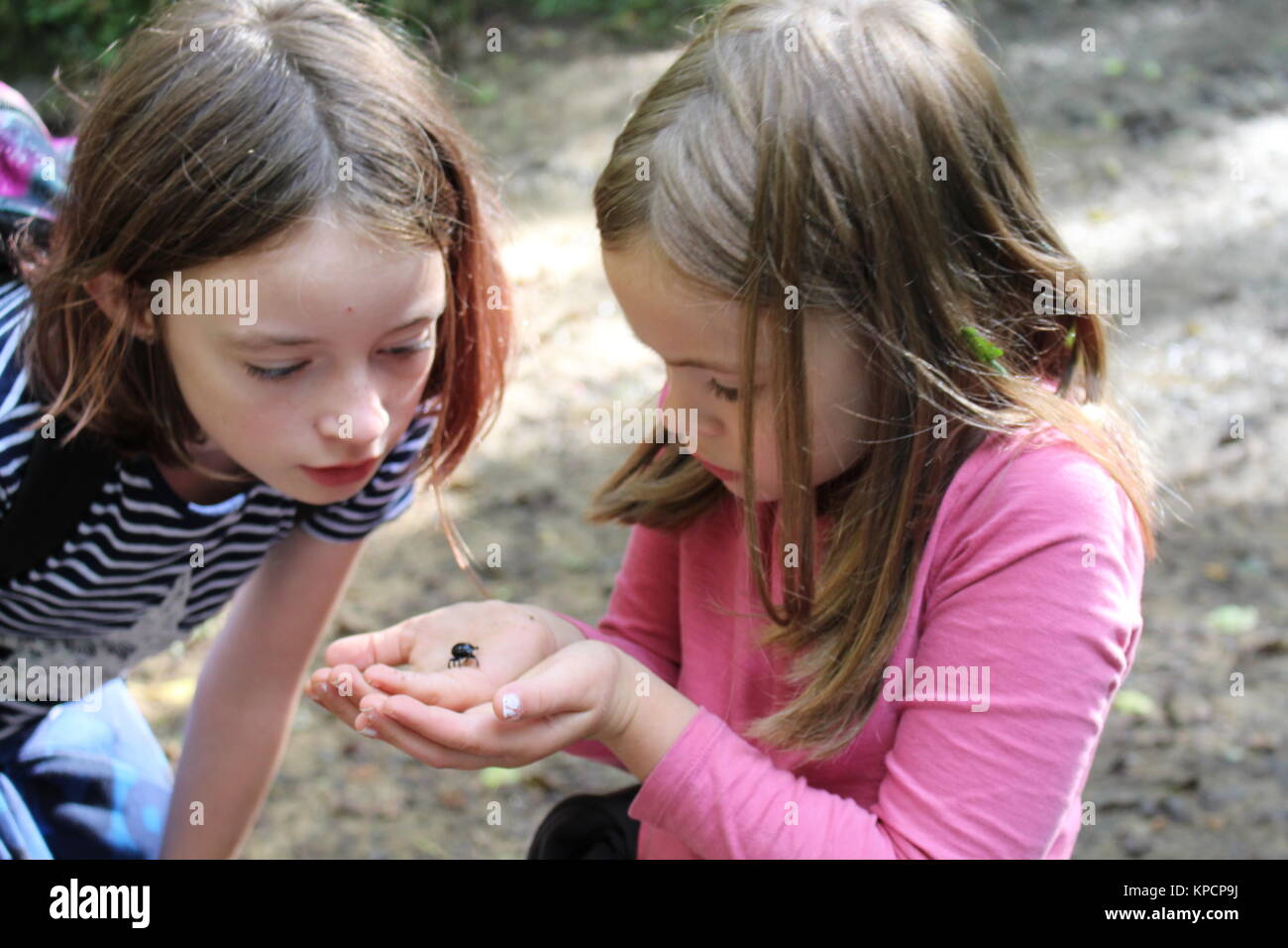 Le ragazze con un coleottero Foto Stock