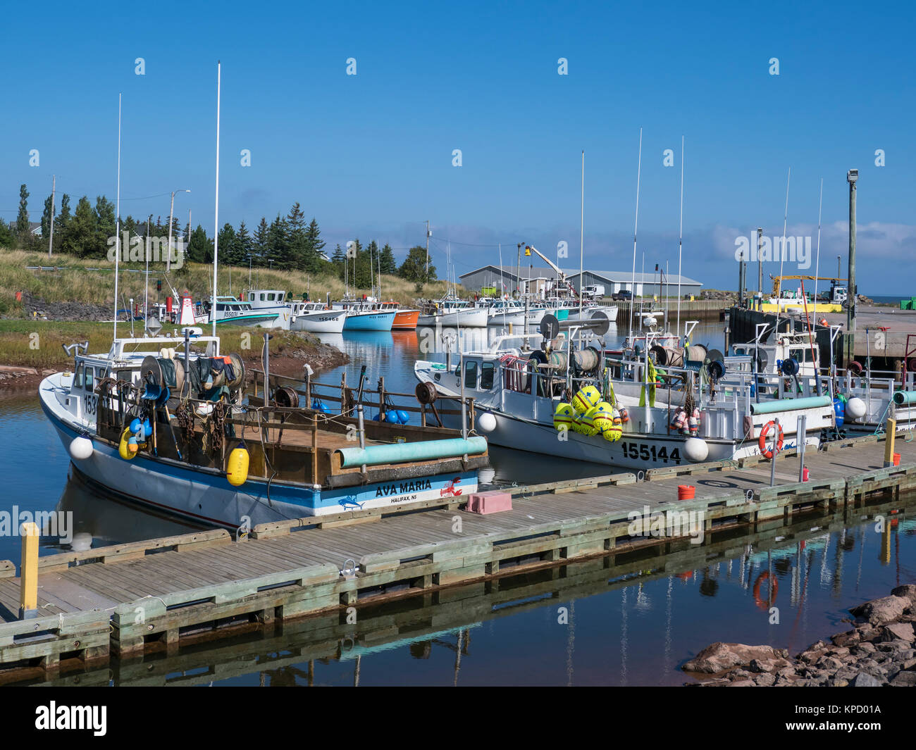 Barche da pesca in porto, Toney River, Nova Scotia, Canada. Foto Stock