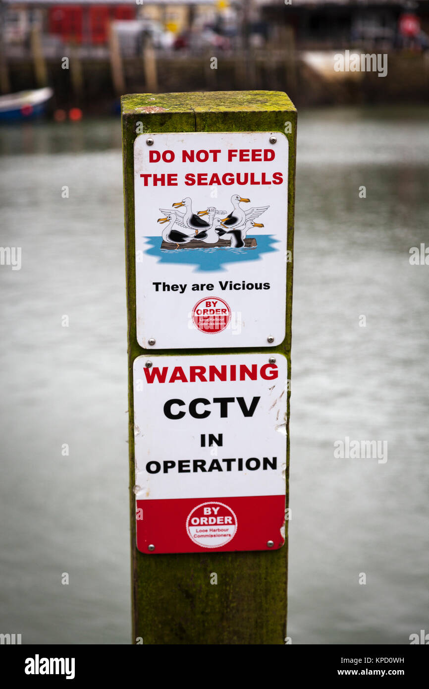 "L'alimentazione dei gabbiani, sono vizioso' e 'Avvertimento CCTV in funzionamento' indicazioni su un paletto in legno Looe Harbour, Cornwall. Foto Stock