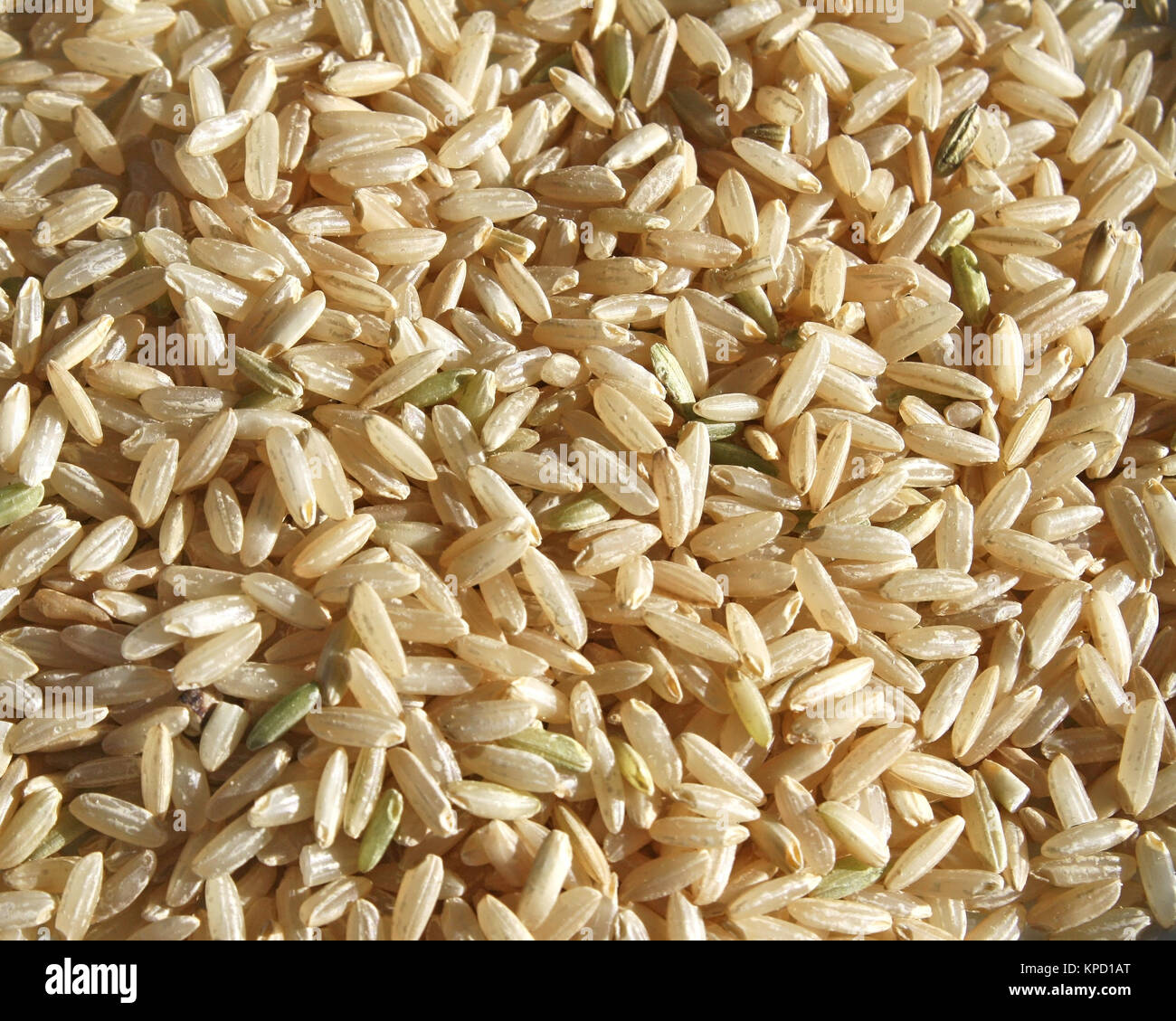 Grani di sano e nutriente riso marrone Foto Stock