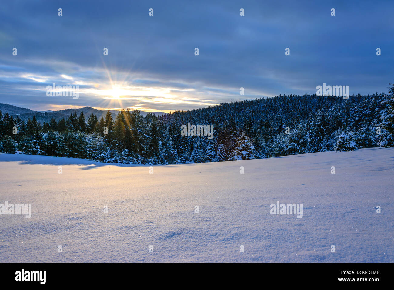 Splendido panorama delle montagne invernali e foresta di sunrise al mattino. Foto Stock