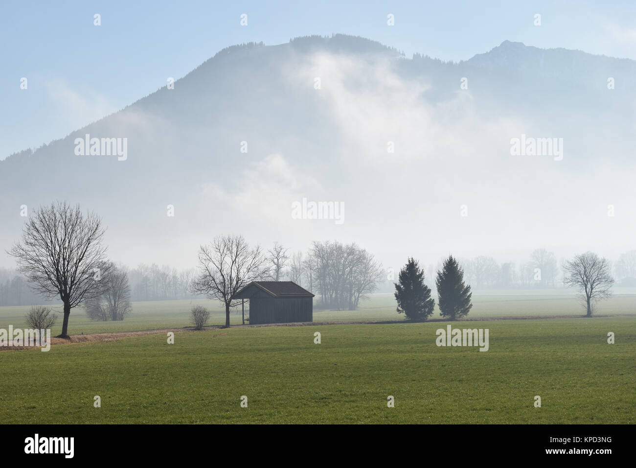 Bad Feilnbach nebbia Foto Stock