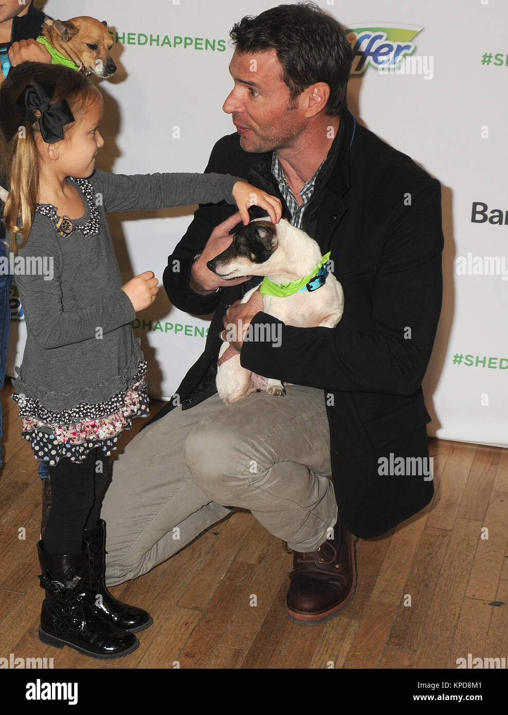 NEW YORK, NY - novembre 12: Attore Scott Foley assiste la vacanza Pet adozione evento a 101 Wooster Street a Novembre 12, 2015 a New York City. Persone: Scott Foley Foto Stock
