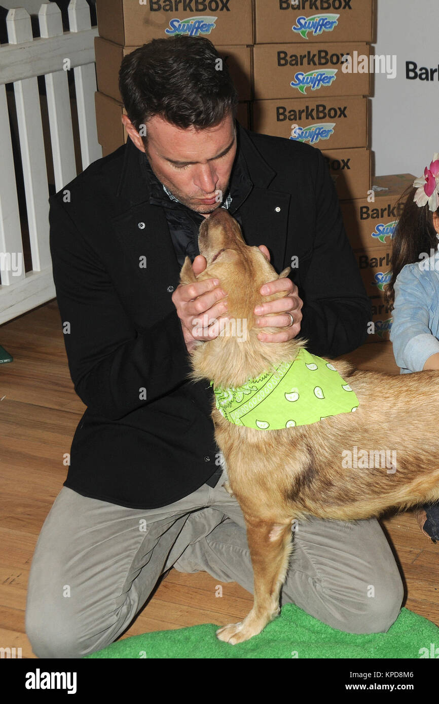 NEW YORK, NY - novembre 12: Attore Scott Foley assiste la vacanza Pet adozione evento a 101 Wooster Street a Novembre 12, 2015 a New York City. Persone: Scott Foley Foto Stock