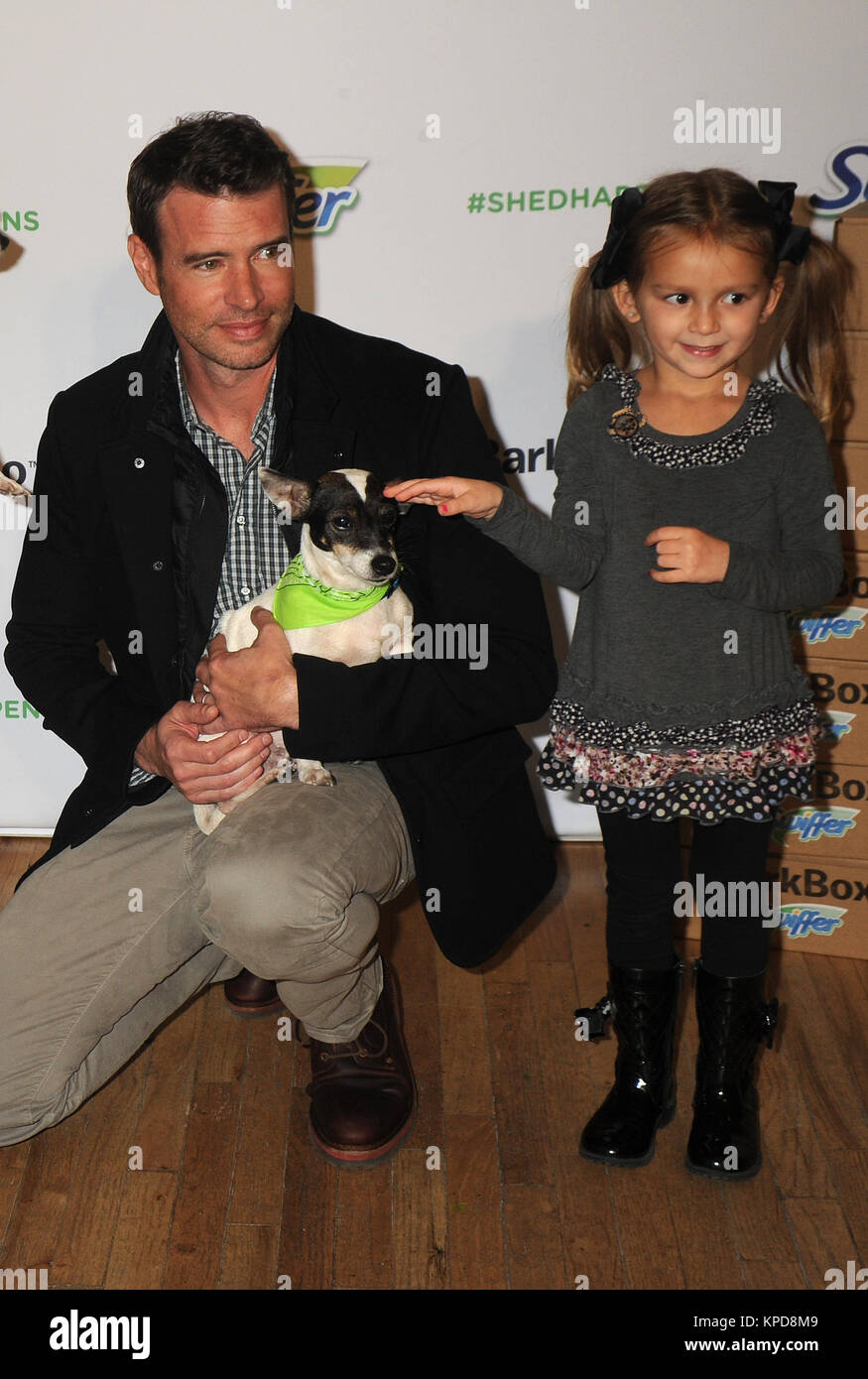 NEW YORK, NY - novembre 12: Attore Scott Foley assiste la vacanza Pet adozione evento a 101 Wooster Street a Novembre 12, 2015 a New York City. Persone: Scott Foley Foto Stock