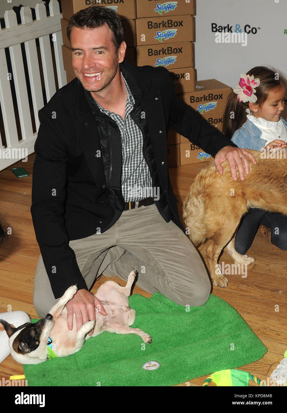 NEW YORK, NY - novembre 12: Attore Scott Foley assiste la vacanza Pet adozione evento a 101 Wooster Street a Novembre 12, 2015 a New York City. Persone: Scott Foley Foto Stock