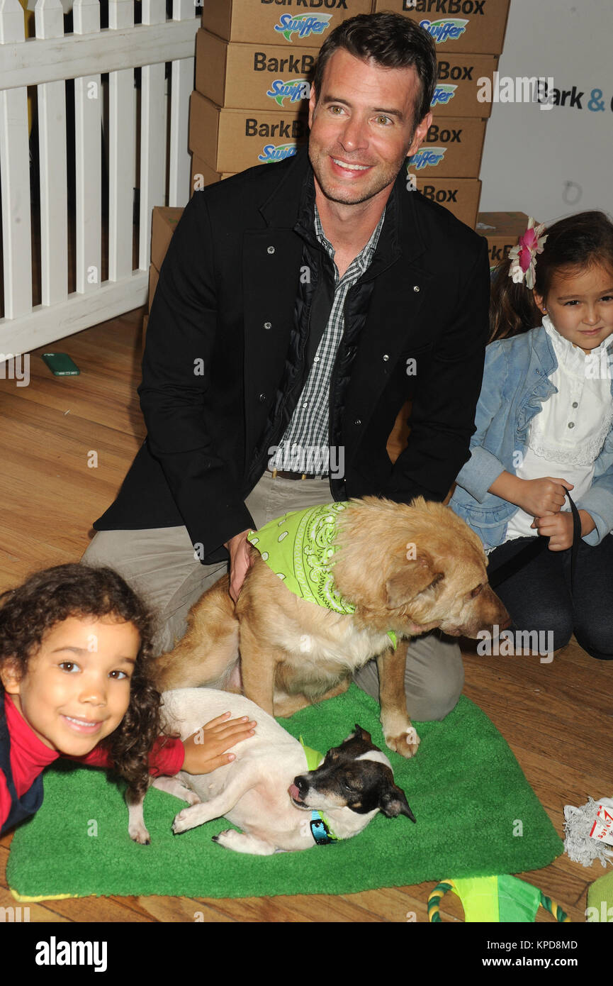 NEW YORK, NY - novembre 12: Attore Scott Foley assiste la vacanza Pet adozione evento a 101 Wooster Street a Novembre 12, 2015 a New York City. Persone: Scott Foley Foto Stock