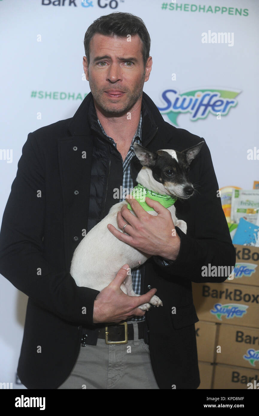 NEW YORK, NY - novembre 12: Attore Scott Foley assiste la vacanza Pet adozione evento a 101 Wooster Street a Novembre 12, 2015 a New York City. Persone: Scott Foley Foto Stock