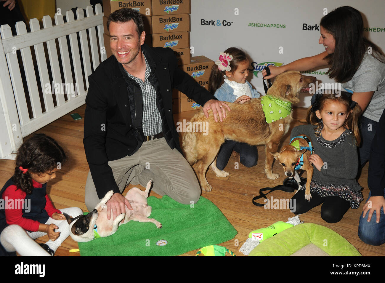 NEW YORK, NY - novembre 12: Attore Scott Foley assiste la vacanza Pet adozione evento a 101 Wooster Street a Novembre 12, 2015 a New York City. Persone: Scott Foley Foto Stock