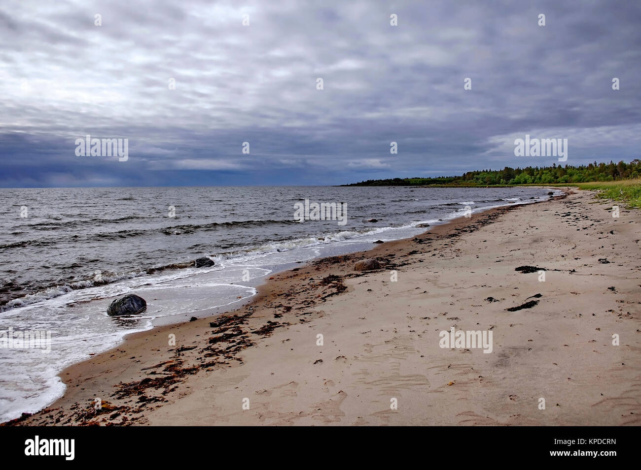 Spiaggia in cattive condizioni atmosferiche. In Russia le isole Solovetsky, mare bianco Foto Stock