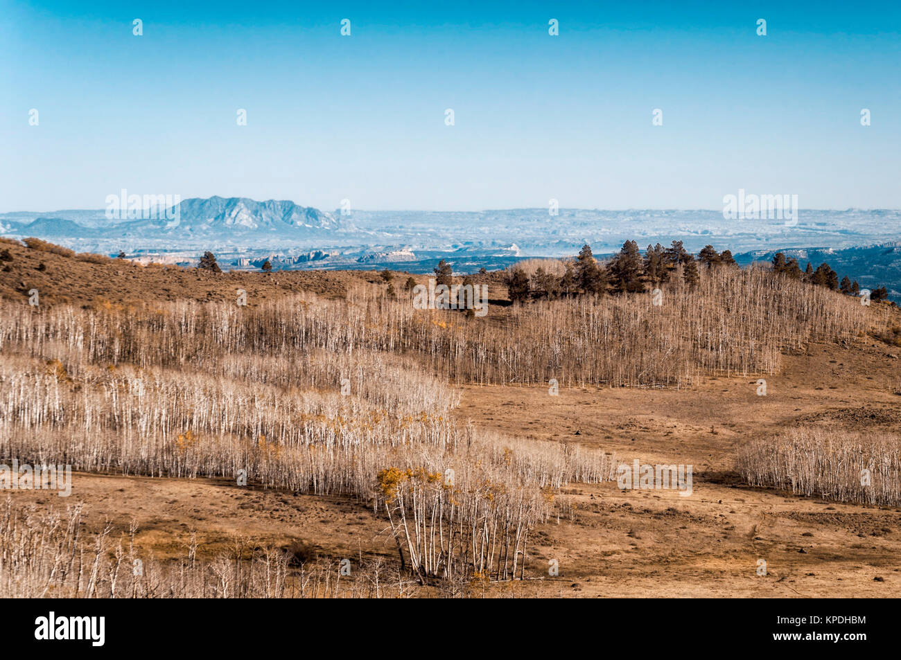 Paesaggio in Utah Foto Stock