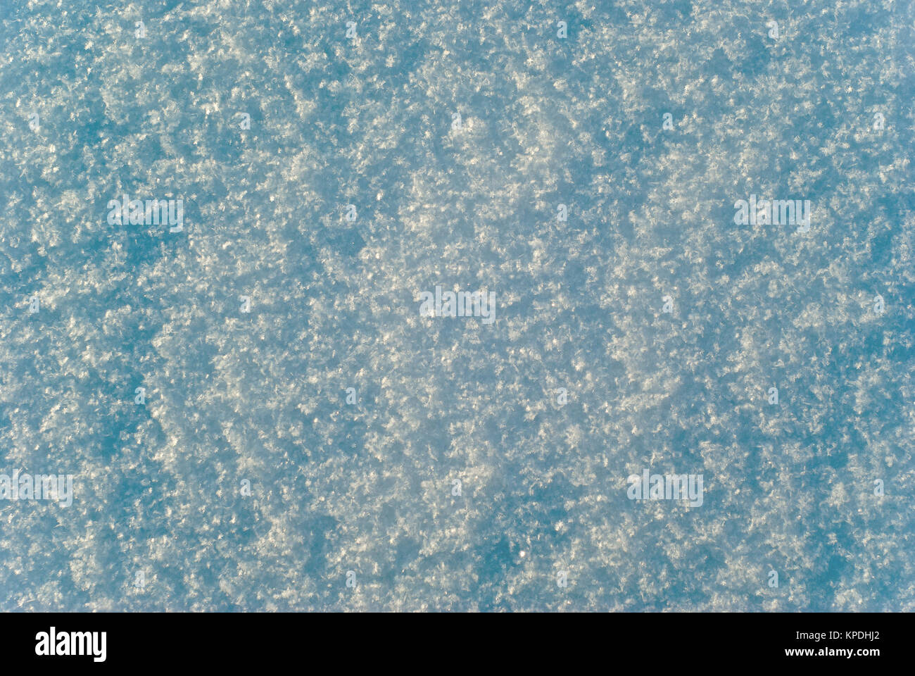 Background e texture: morbido e soffice superficie di fresco di neve caduti con distinguibili i singoli fiocchi di neve Foto Stock