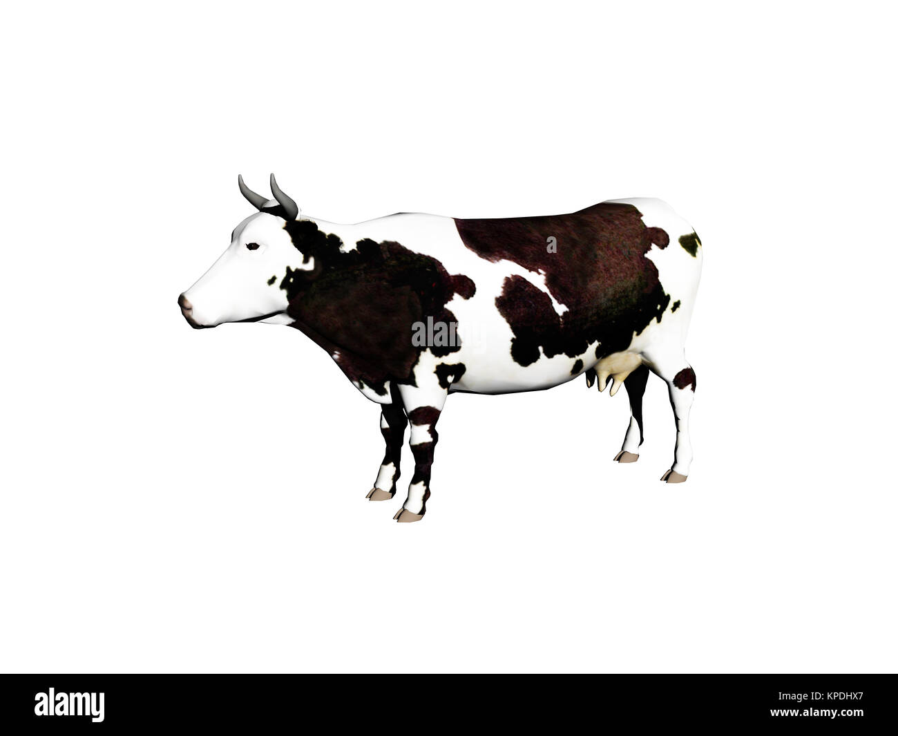 Esentati spotted cow Foto Stock