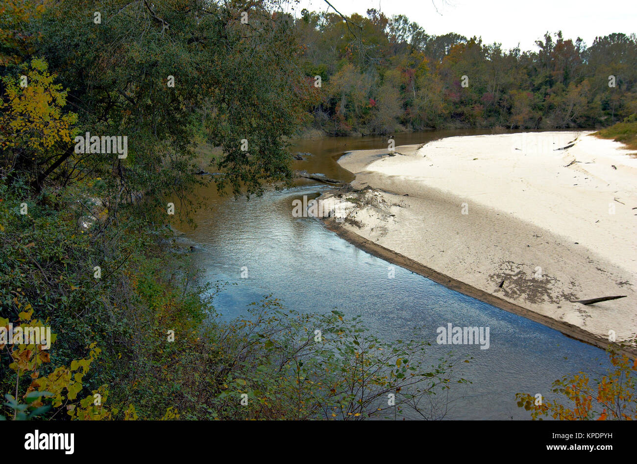 Baton Rouge, Louisiana - 2017: vista del Comite River a Comite River Park, un popolare mountain bike sito. Foto Stock