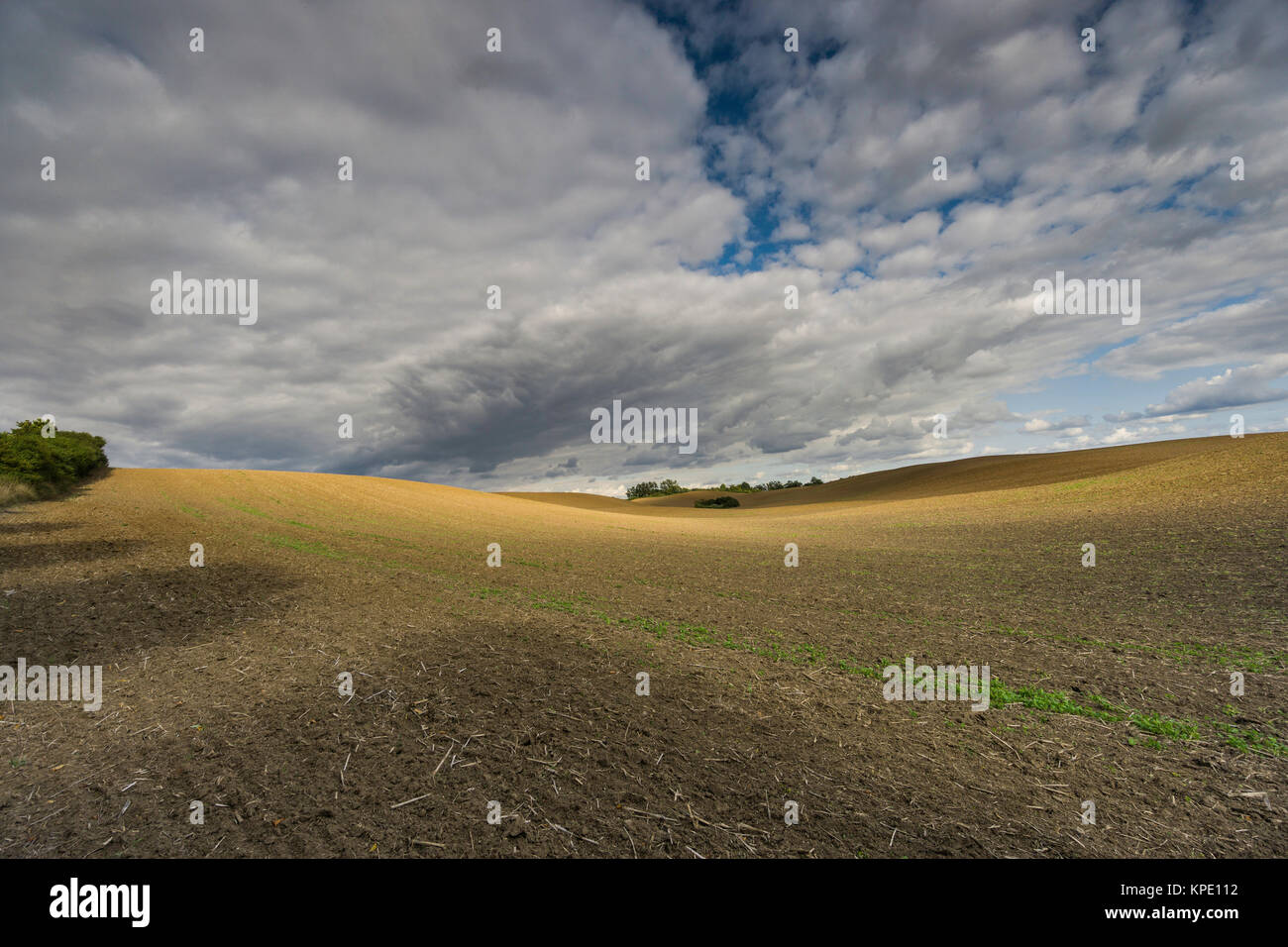 Nuvole su un campo di raccolta,girovagando ombra sul campo e bizzarre formazioni di nubi Foto Stock