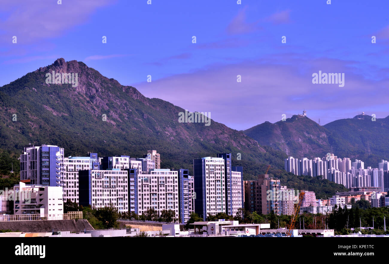 Lion Rock come visto dal lato ovest di Kowloon City zona. Foto Stock