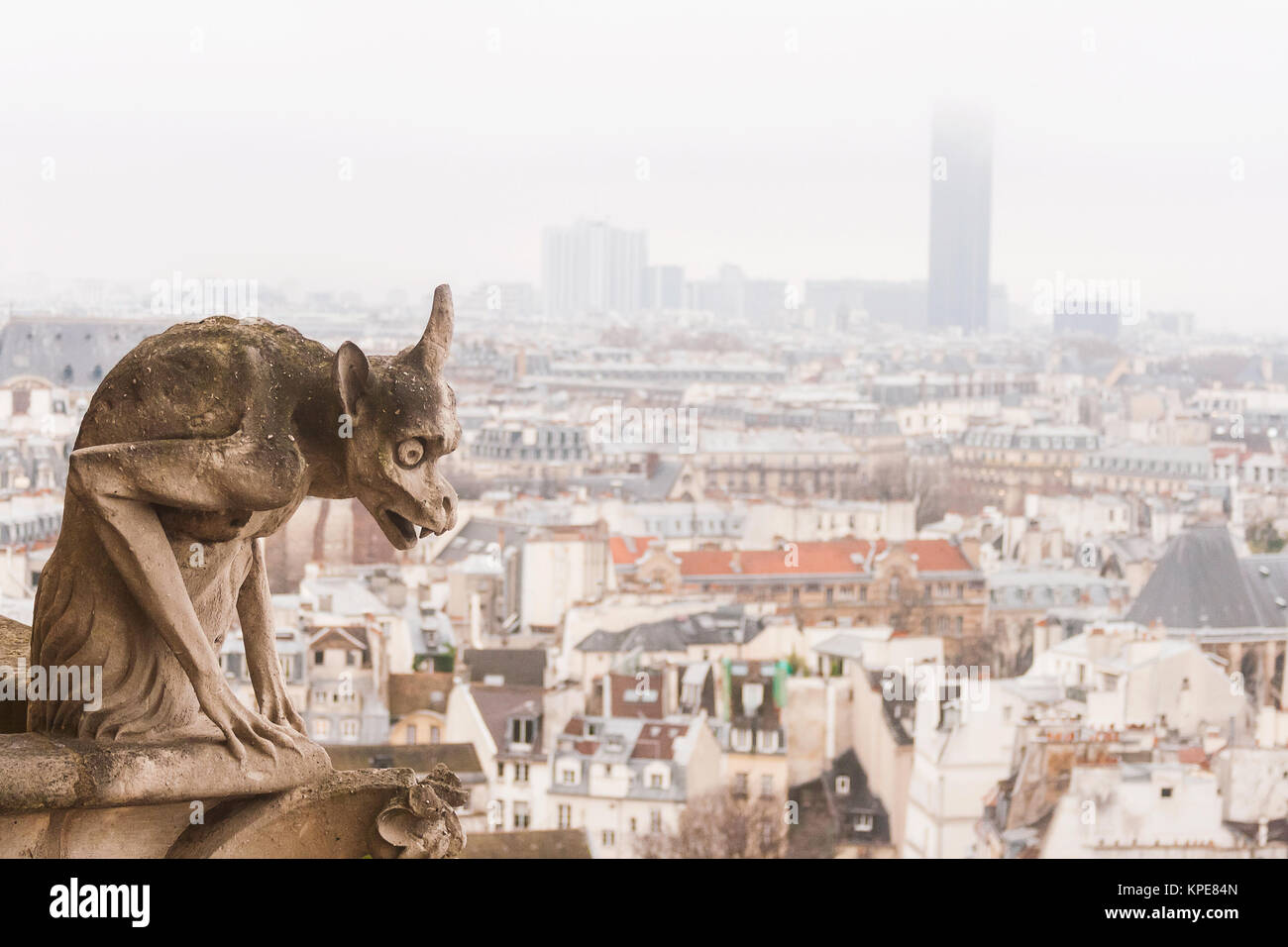 La chimera di Notre Dame di Parigi (Cattedrale di Nostra Signora) sopra i tetti delle città con copia spazio, la Francia, l'Europa. Foto Stock