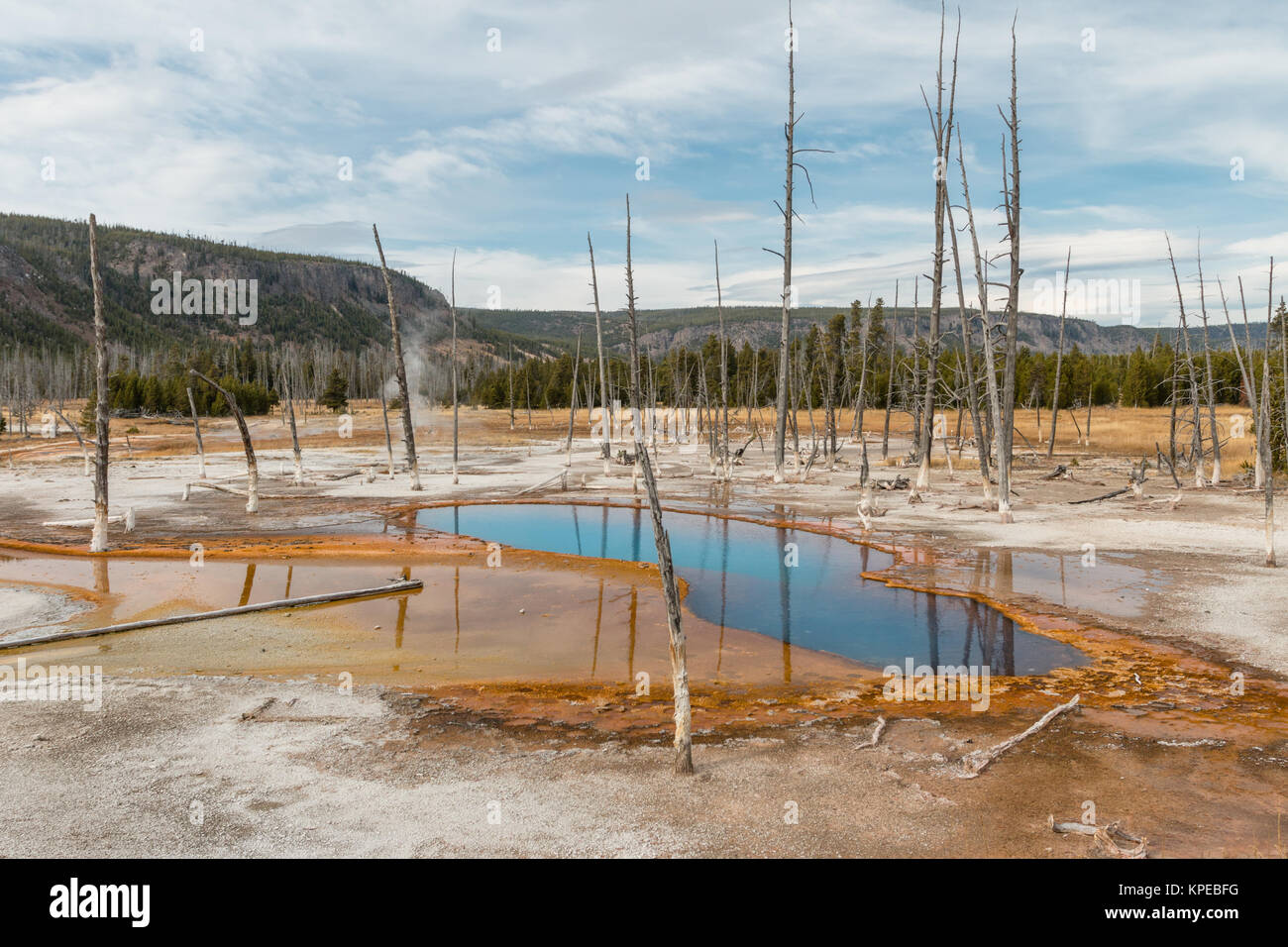 Opalescente la piscina nel parco nazionale di Yellowstone, Wyoming. Foto Stock Opalescente la piscina nel parco nazionale di Yellowstone, Wyoming. Foto Stock