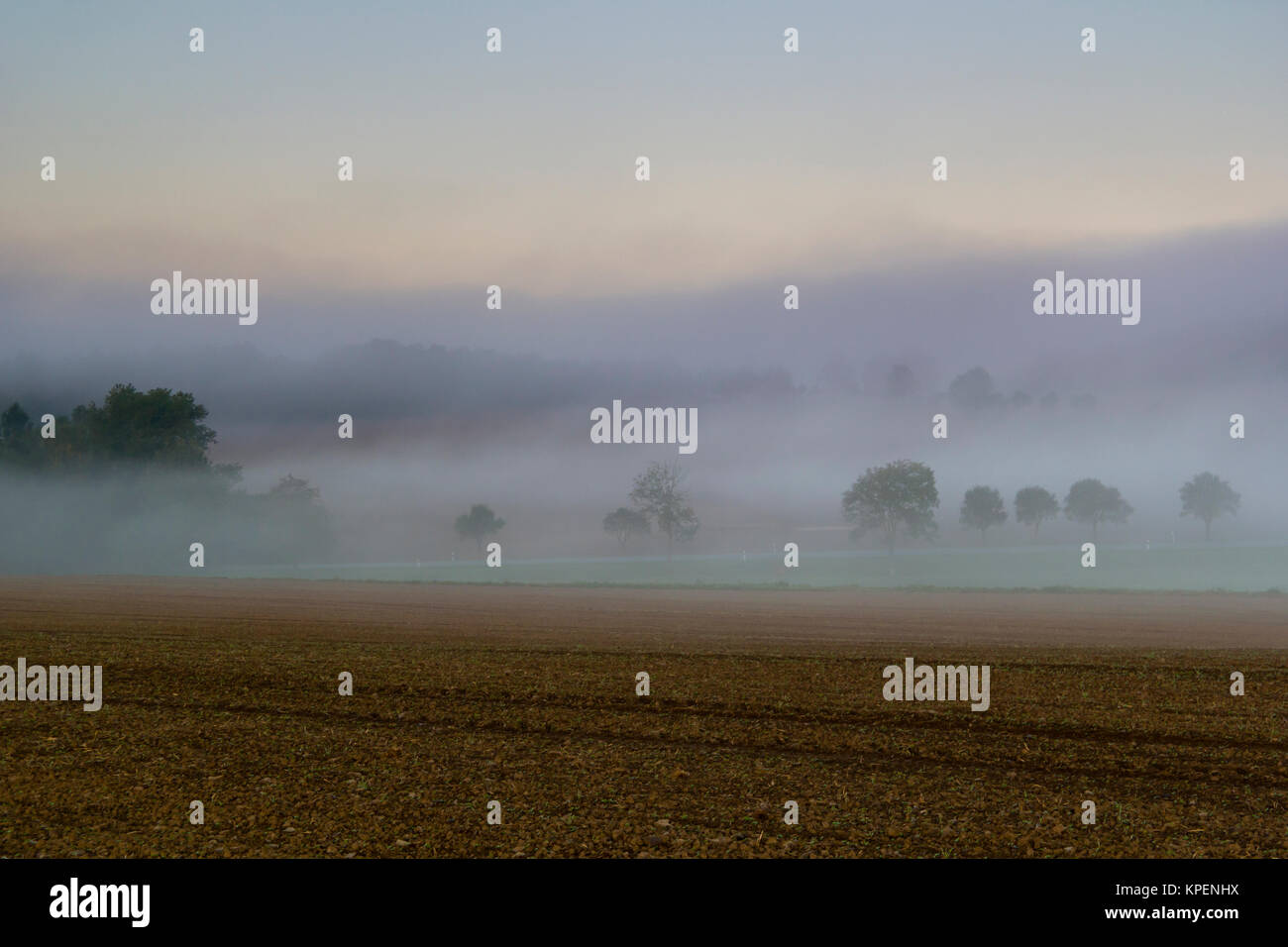 Sonnenaufgang im Nebel auf dem Feld,Wiesen und Wälder im Frühling,Nebelschwaden und durchbrechende Sonne Foto Stock