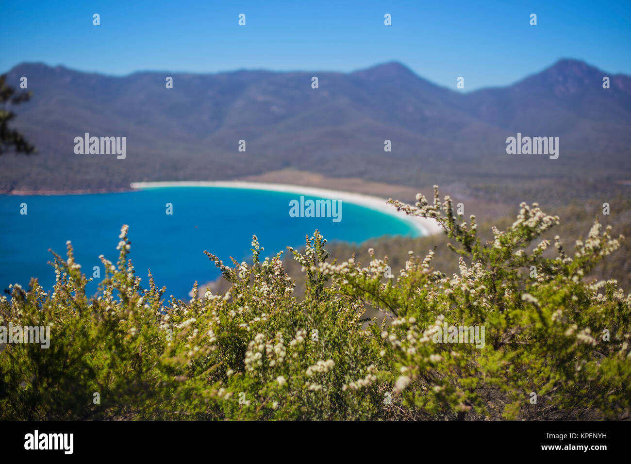 Wineglass Bay sulla Penisola di Freycinet nel Nord Est della Tasmania in una limpida giornata di sole. Foto Stock