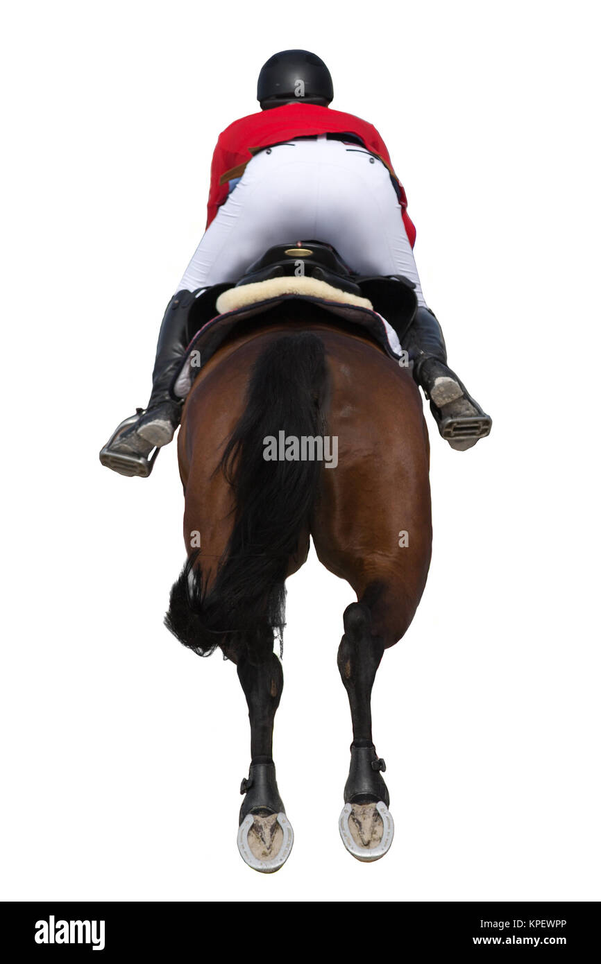 Sport Equestri, Ippico, evento isolato su sfondo bianco Foto Stock
