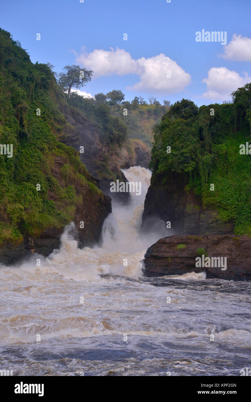 L'Uganda è chiamata "la perla dell'Africa" per i suoi splendidi paesaggi, gente amichevole e abbondanza di pioggia. Murchison Falls Foto Stock