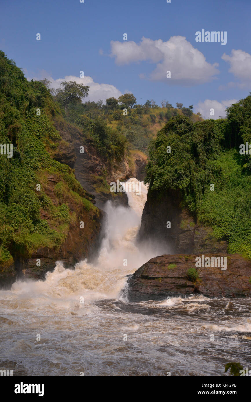 L'Uganda è chiamata "la perla dell'Africa" per i suoi splendidi paesaggi, gente amichevole e abbondanza di pioggia. Murchison Falls Foto Stock