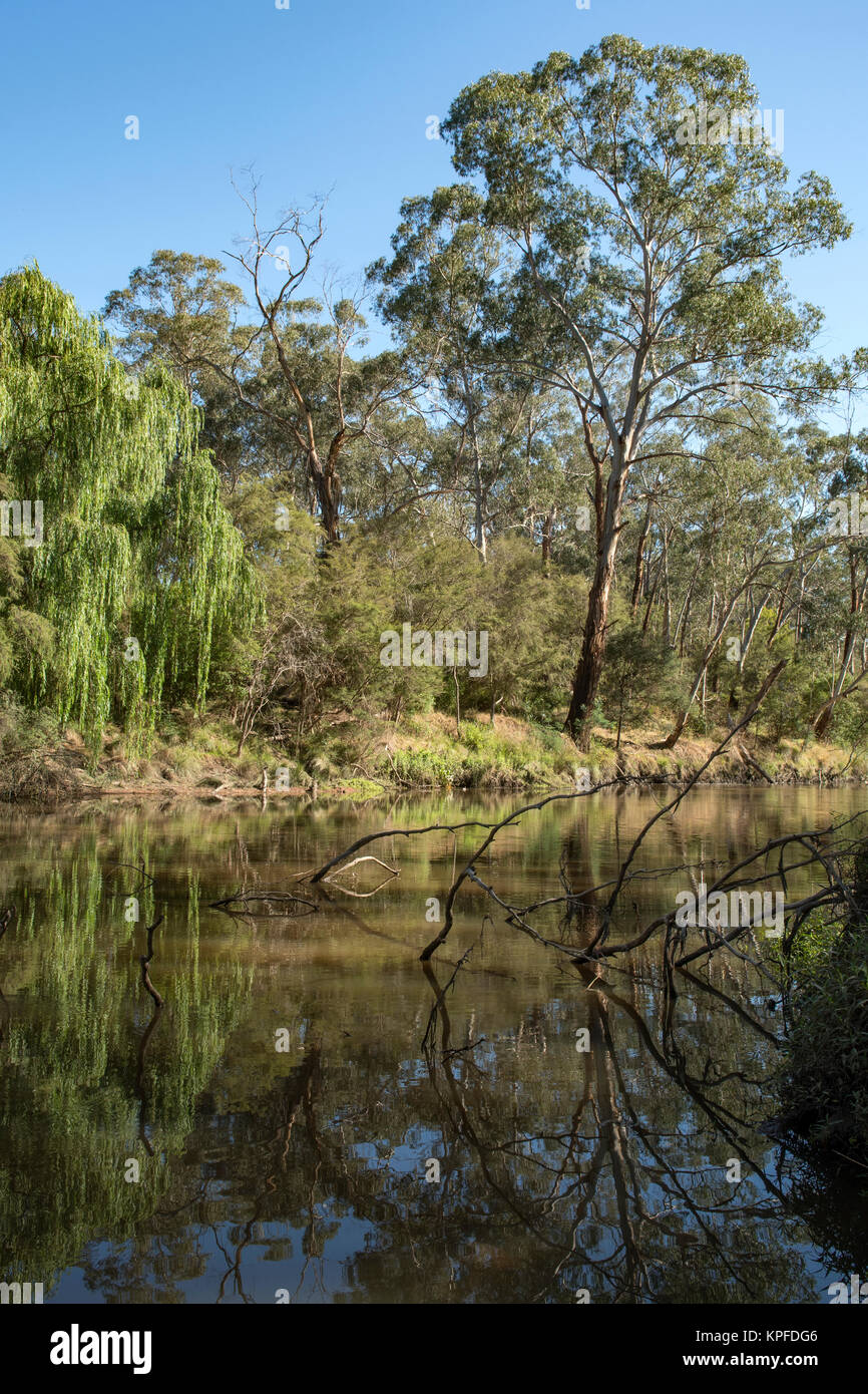 Fiume Yarra a Jumping Creek Riserva, Nord Warrandyte, Victoria, Australia Foto Stock