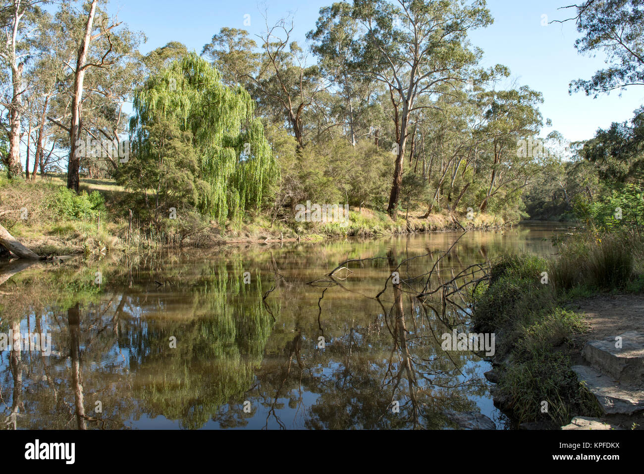 Fiume Yarra a Jumping Creek Riserva, Nord Warrandyte, Victoria, Australia Foto Stock