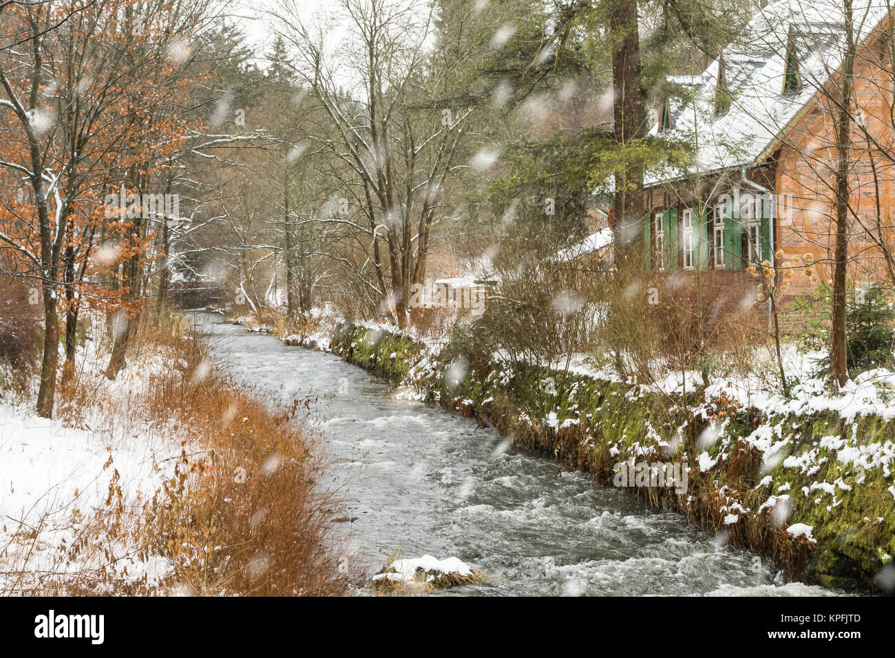 Selketal im Harz Winterstimmung Foto Stock