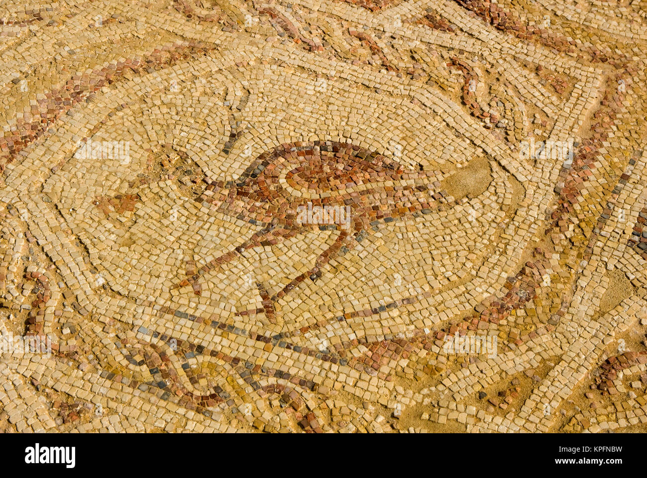 Israele Negev, Mamshit (città vecchia lungo incenso caravan route), mosaici del Nilo Chiesa Foto Stock