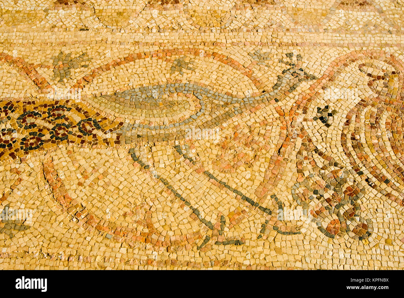 Israele Negev, Mamshit (città vecchia lungo incenso caravan route), mosaici del Nilo Chiesa Foto Stock