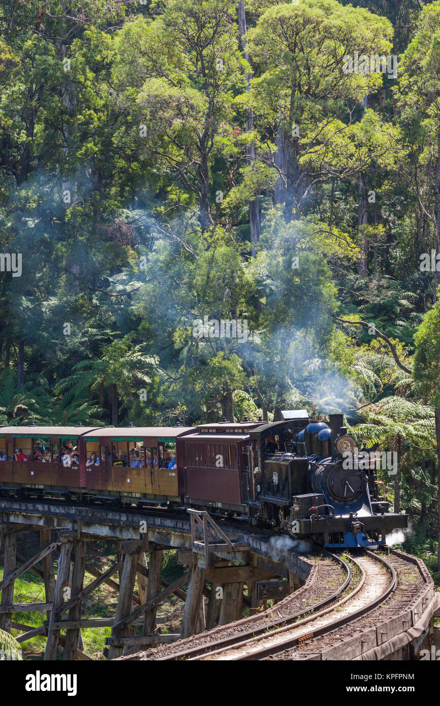 Australia, Victoria, la Catena Montuosa di Dandenong, Belgrave, Treno a Vapore Puffing Billy Foto Stock