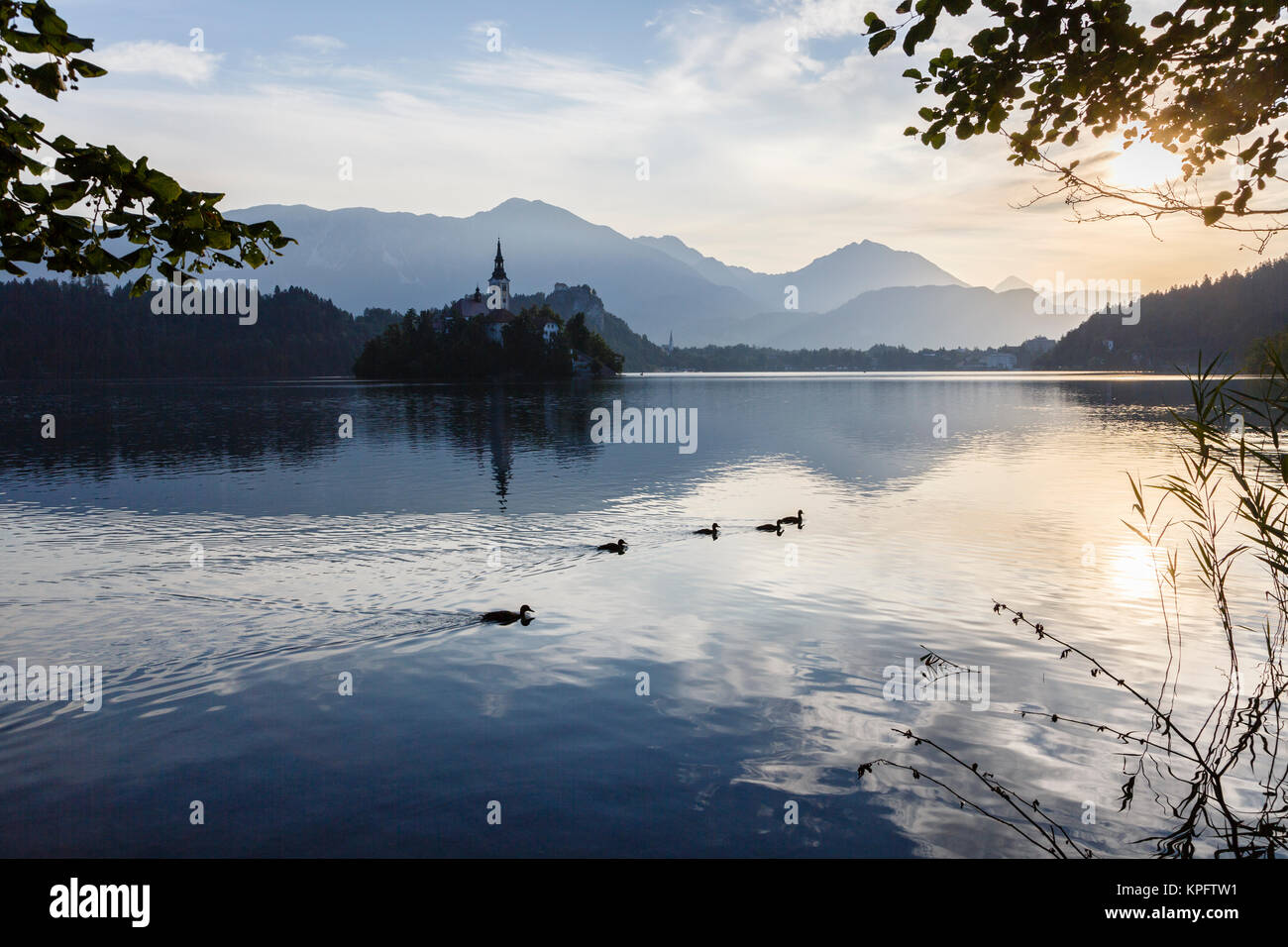 La mattina presto, lago di Bled Slovenia Foto Stock