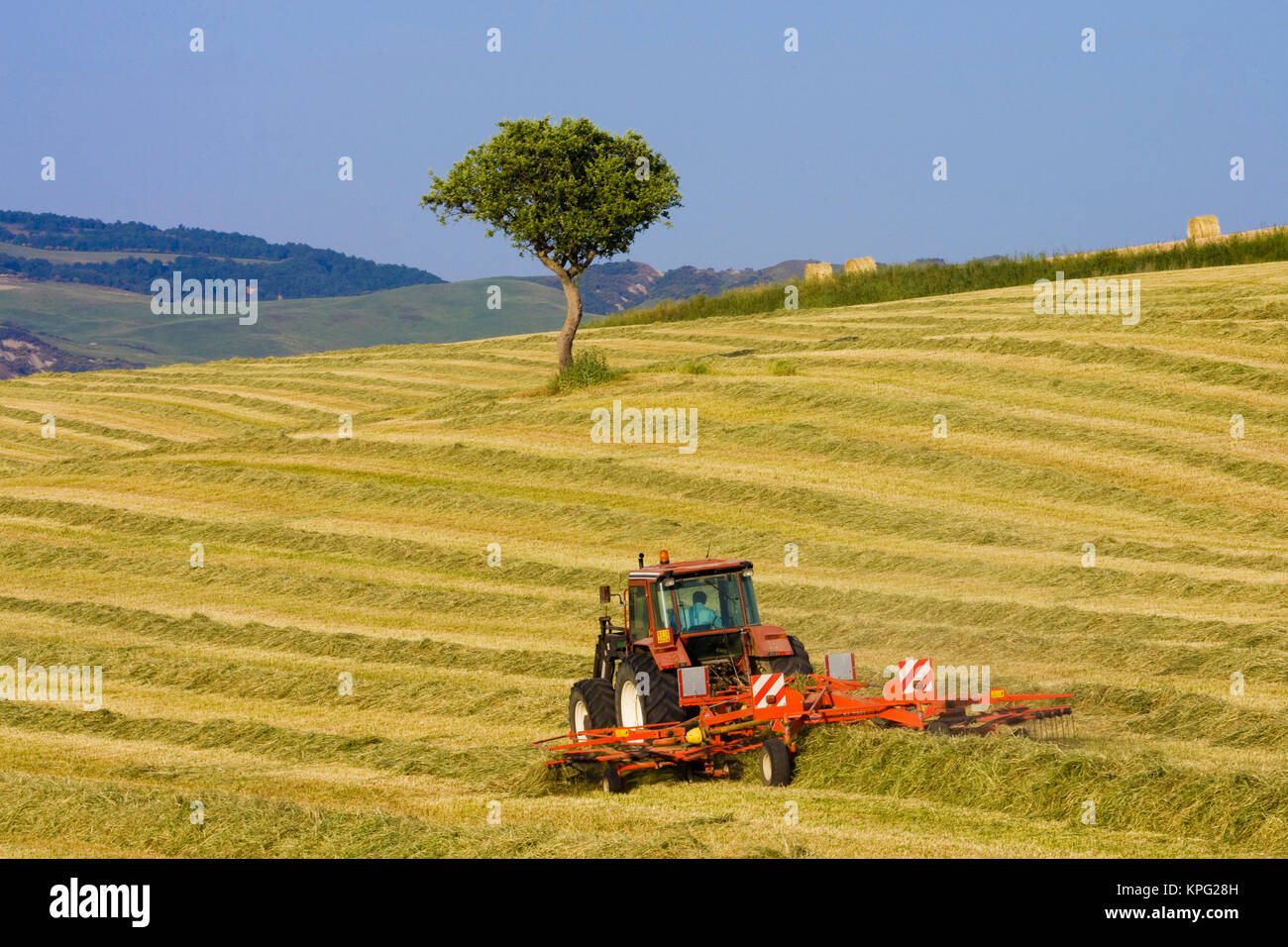 L'Italia, Toscana, Trattore fieno raccolto nelle colline toscane. Foto Stock