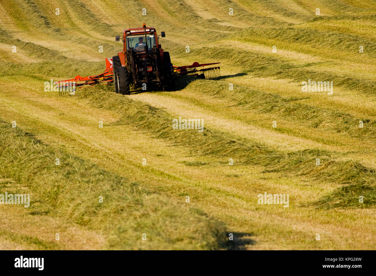 L'Italia, Toscana, Trattore fieno raccolto nelle colline toscane. Foto Stock