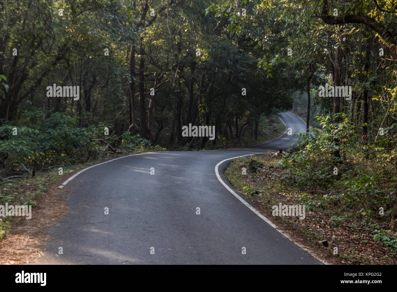 Strada per Bondala Wildlife Sanctuary nei pressi di Panjim, Goa. Foto Stock
